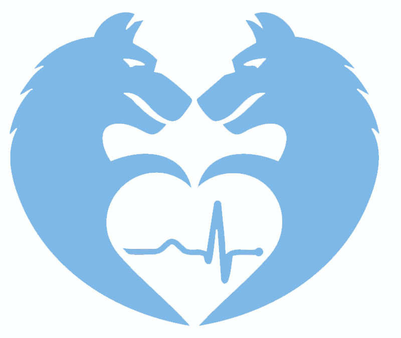 SpiritSave